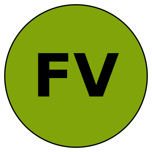 FinaVision